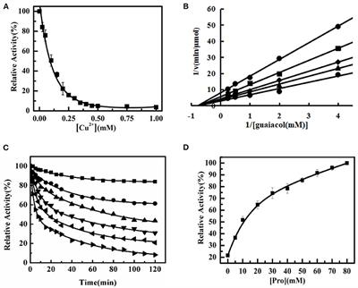 Cu2+ Inhibits the Peroxidase and Antibacterial Activity of Homodimer Hemoglobin From Blood Clam Tegillarca granosa by Destroying Its Heme Pocket Structure